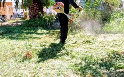 Trabajamos para mantener nuestros espacios verdes en óptimas condiciones